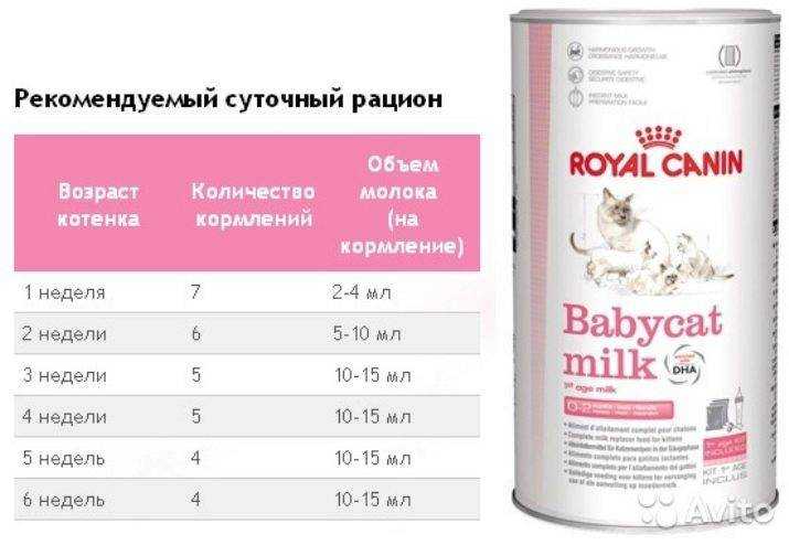 Как переводить котенка на сухой корм?