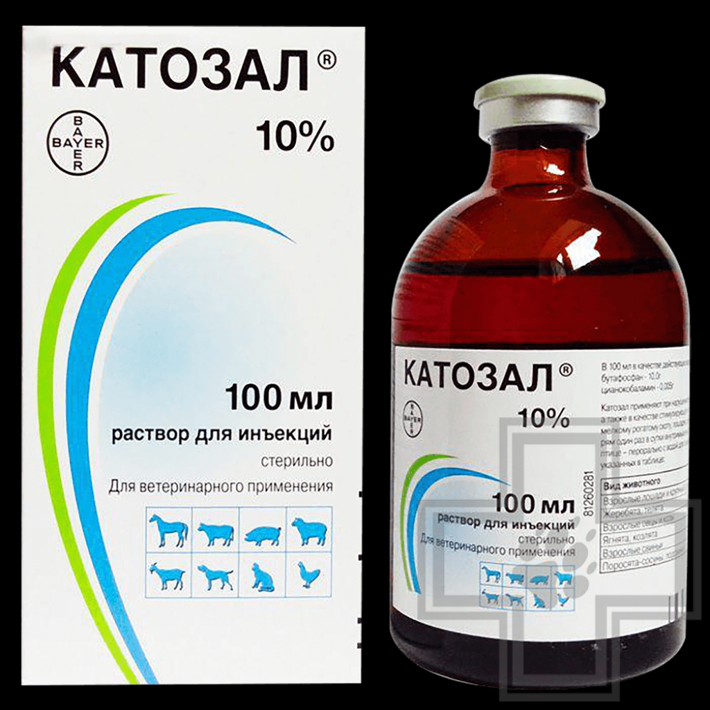 Катозал — инструкция по применению в ветеринарии для животных