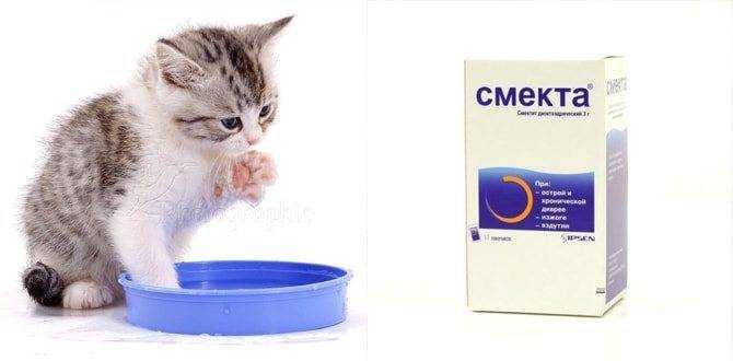Как давать котенку «смекту» при поносе: действие, дозировка, рекомендации | звери дома