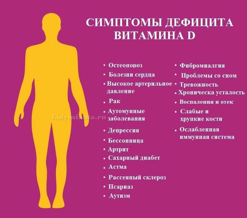 Почему кот ест землю: причины странного поведения