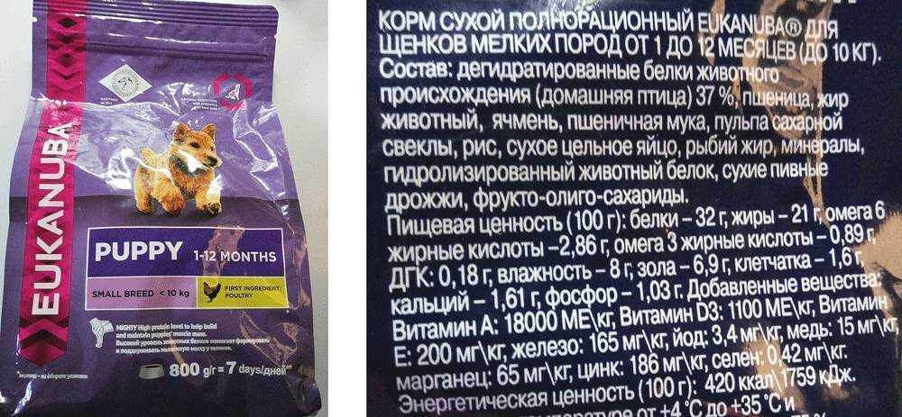 Eukanuba: корм для кошек высочайшего качества