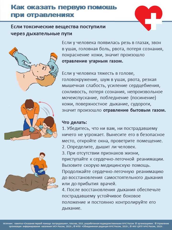 Ожоги у кошек — виды, методы лечения и прогноз