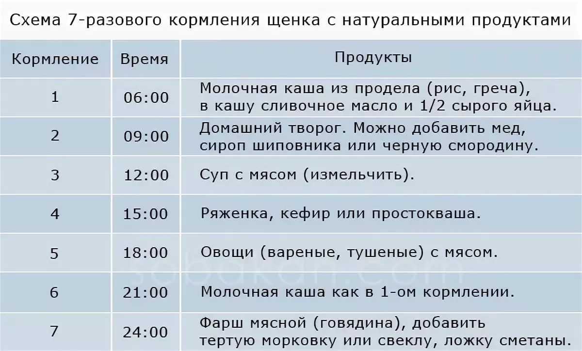 Уход за щенком: кормление, воспитание щенков (новорожденных, в 1 месяц и других) | нпк "скифф"