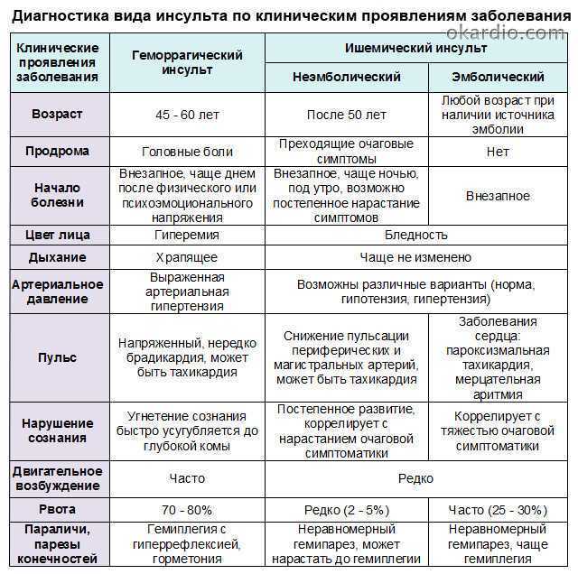 Популярные болезни собак и их основные признаки, и лечение