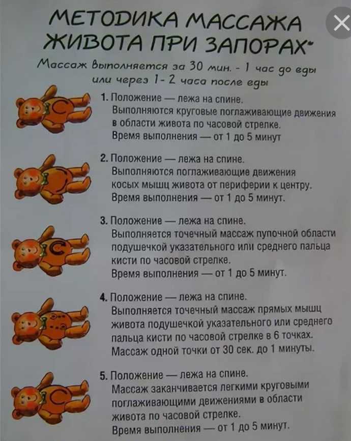 Запор у котенка: причины, симптомы, диагностика, лечение, осложнения | блог ветклиники "беланта"