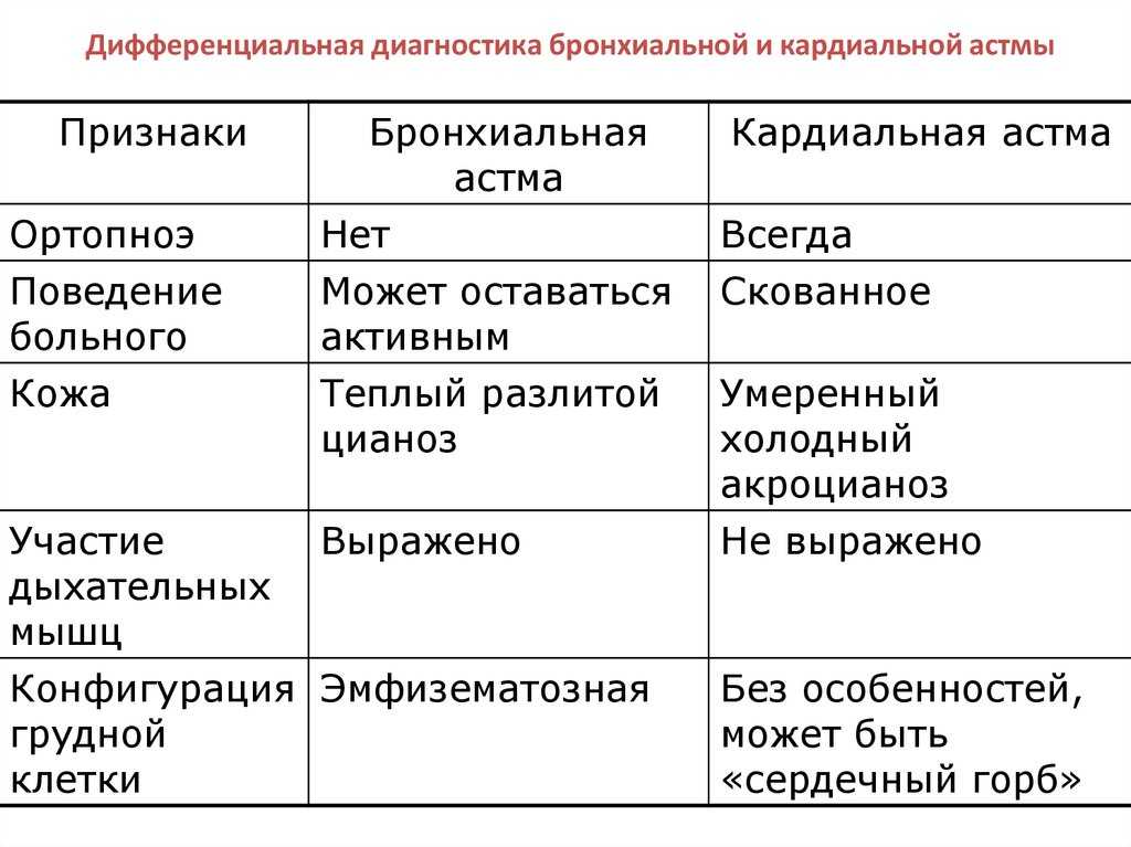 Астма у кошек симптомы и лечение. вакцинация кошки с астмой.