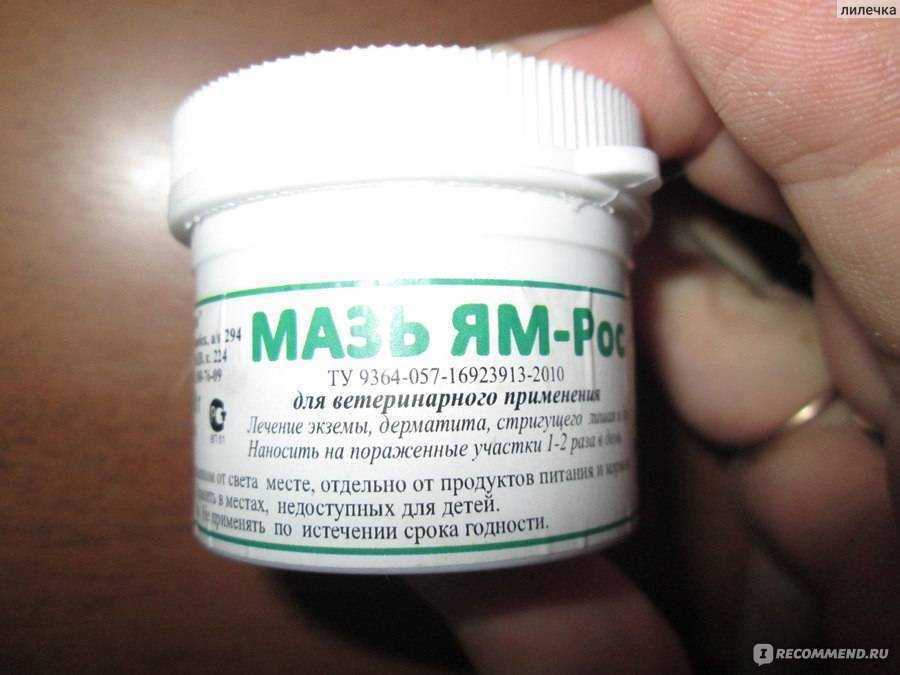 Мазь ям бк для кошек от лишая и других кожных заболеваний: инструкция по применению, отзывы, аналоги препарата
