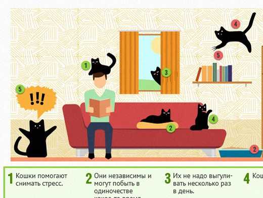 Кого лучше держать квартире кота кошку