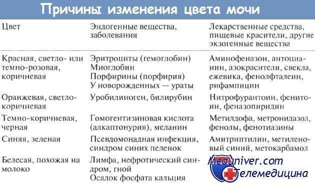 Все о цвете кошачьей мочи | норма и отклонения