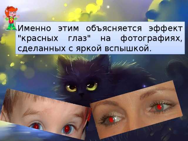 34 интересных факта о котах и кошках