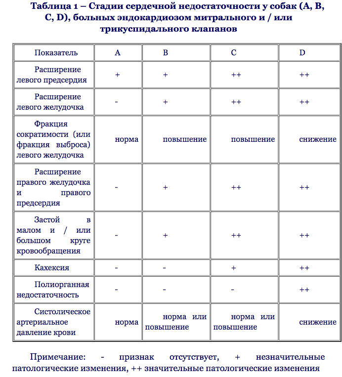 Хроническая и острая сердечная недостаточность у собак симптомы и лечение у ветеринара, препараты