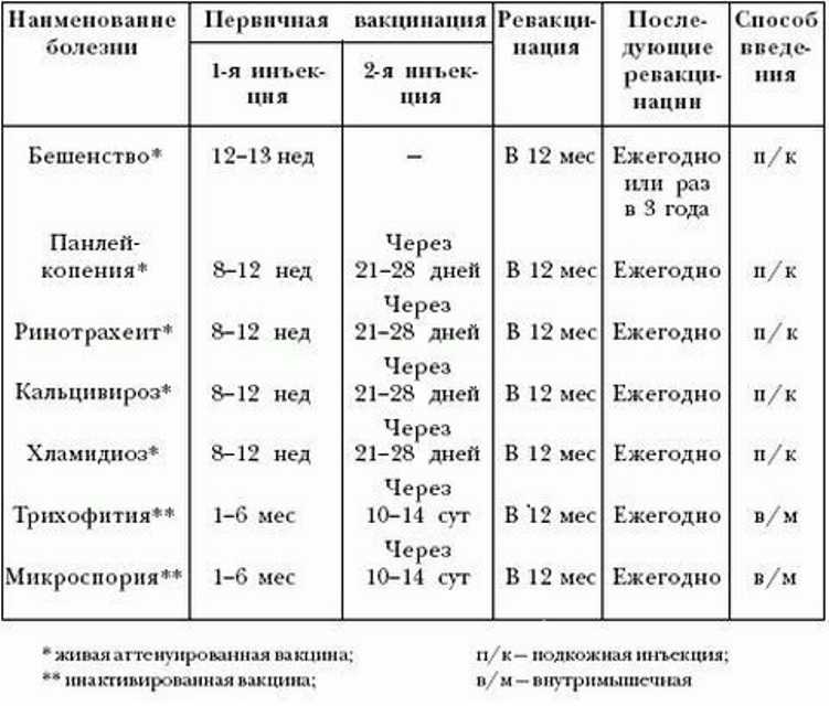 Вакцинация питомцев: когда и зачем прививать кошек и собак? | кто?что?где?