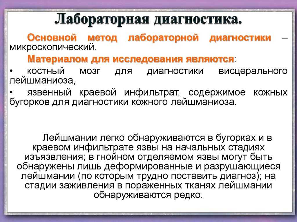 Обзор кошачьих паразитов