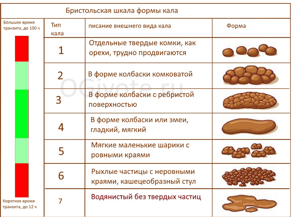 Почему десны кошки стали черными?
