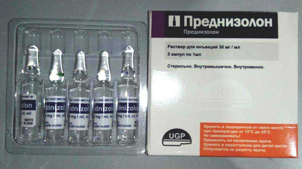 Преднизолон для кошек: дозировка, инструкция по применению