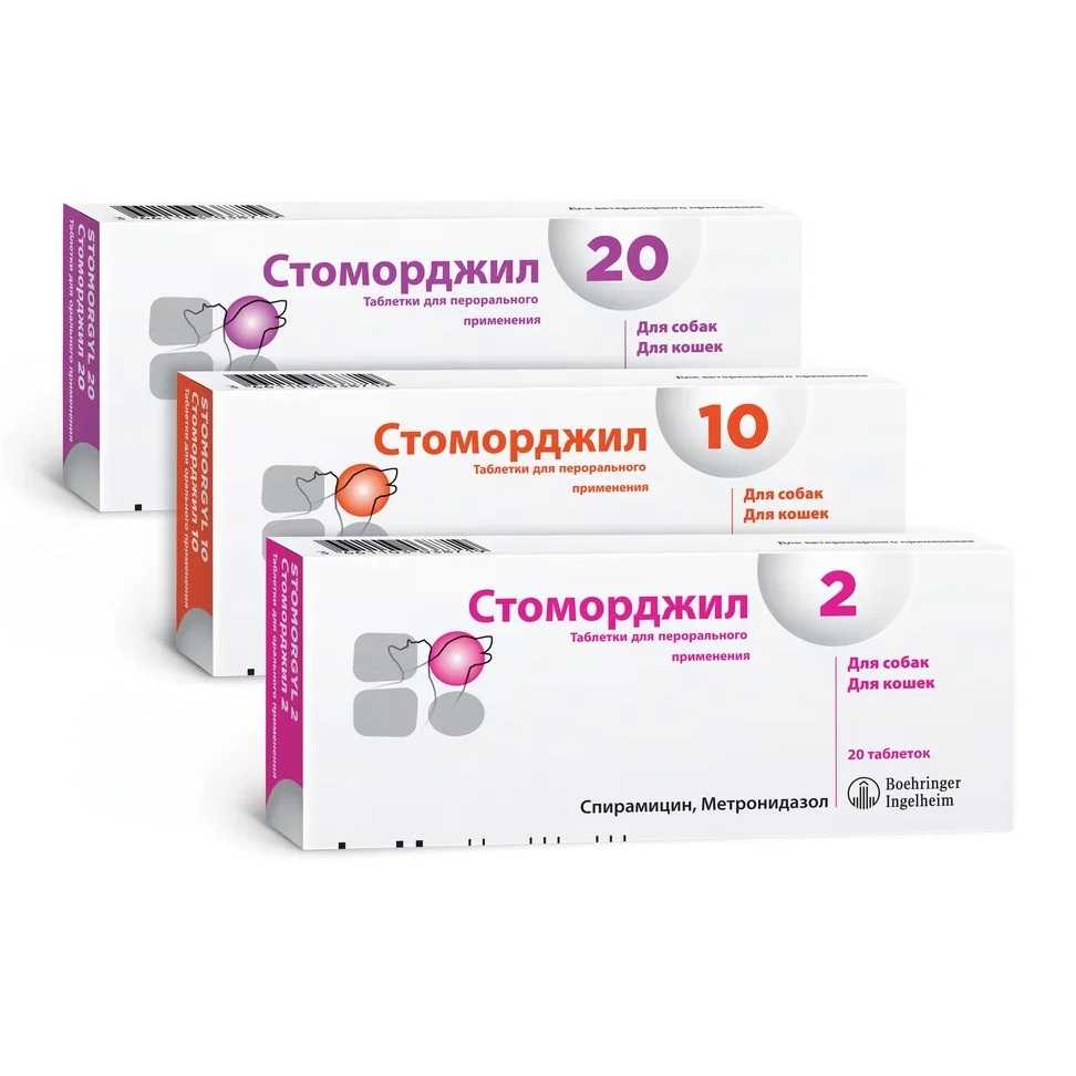 Антибиотики для кошек