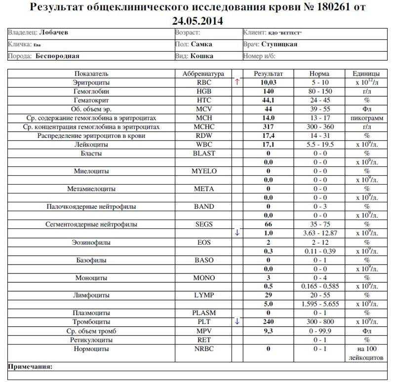 Эозинофильный синдром - эозинофилия