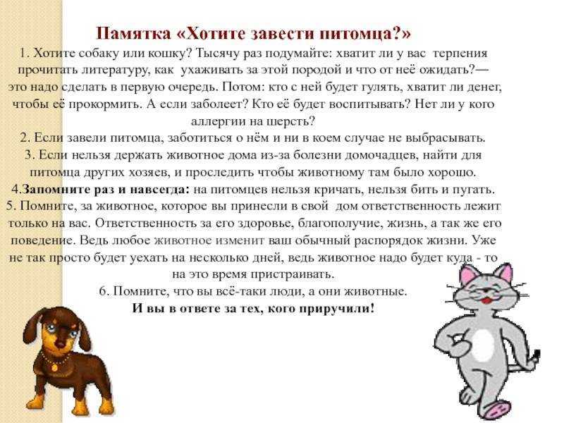 Как сделать игрушки для кота своими руками