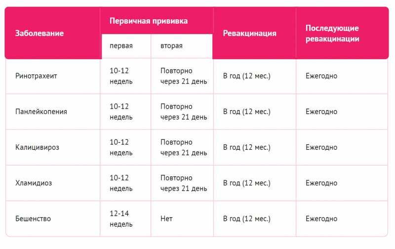 Прививки у кошек - zoosecrets