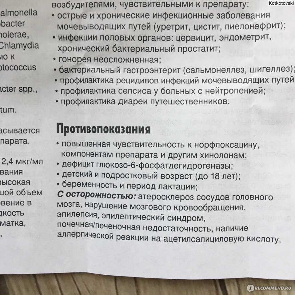 Цистит у кошек