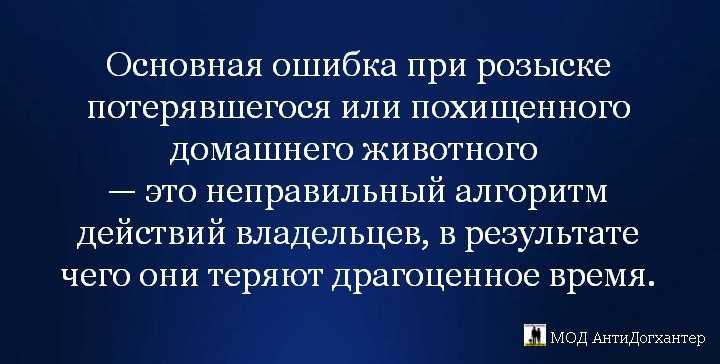 Как найти потерявшуюся собаку (с иллюстрациями)