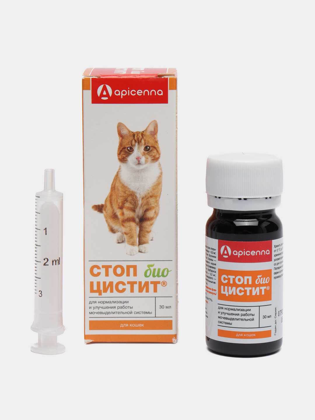 Как и чем лечить цистит у кота