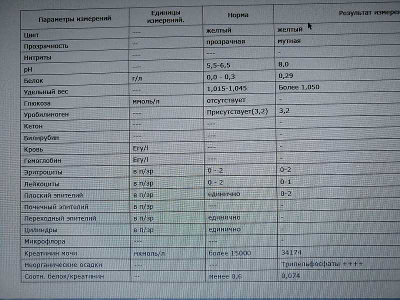 Что делать, если у кошки пахнет моча? | мир кошек
что делать, если у кошки пахнет моча? | мир кошекмир кошек