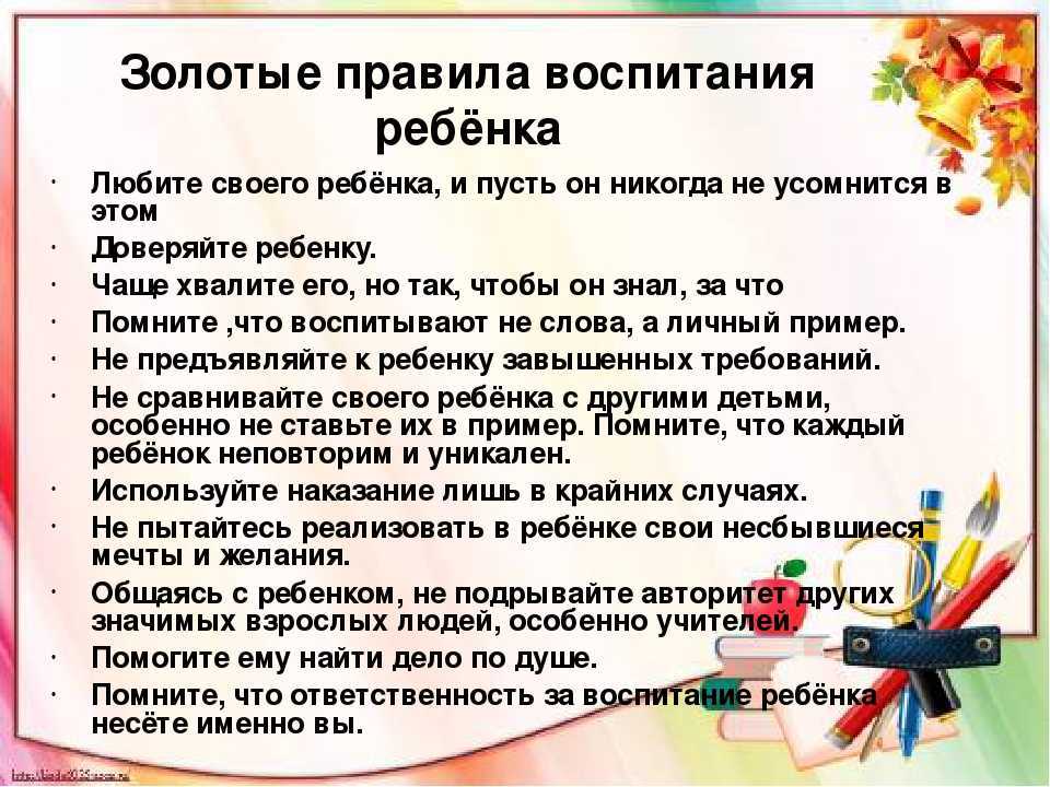 Как воспитать котенка послушным: правила кошачьего воспитания