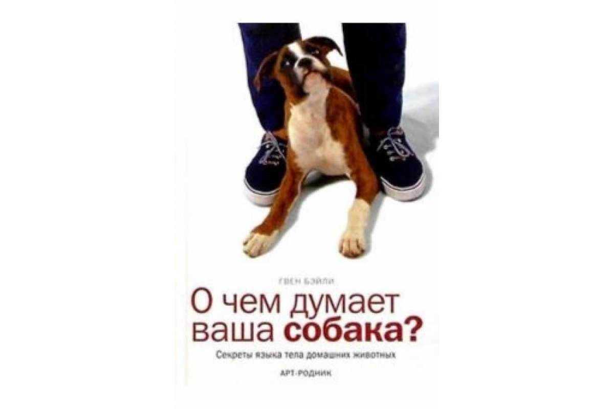 От кого произошли собаки? родственники собак. начало селекции пород собак.