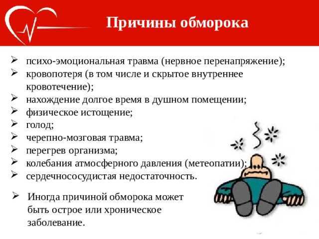 Почему собака теряет сознание: причины обмороков