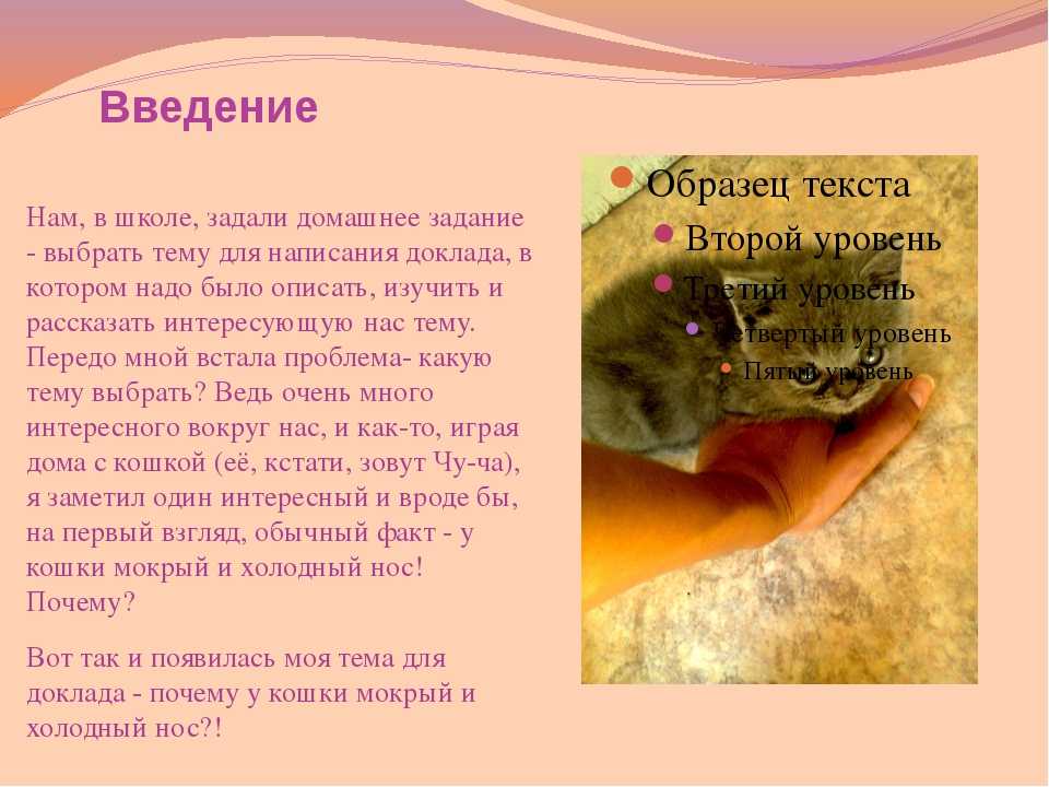 Кошка