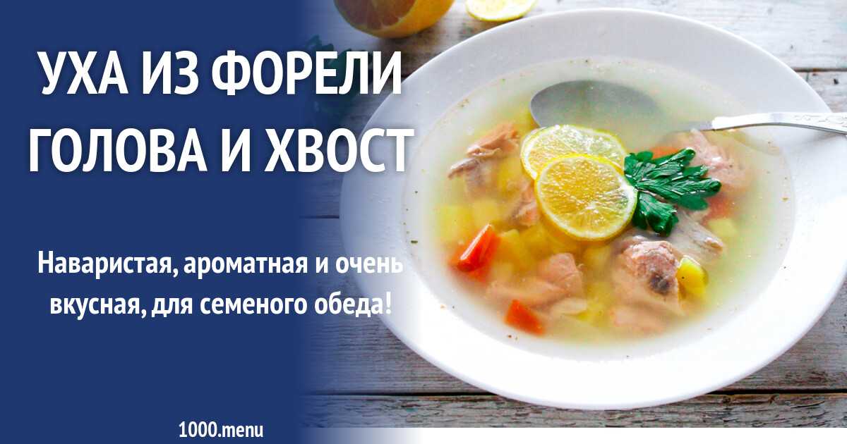 Разрешается ли давать собаке кушать речную вареную рыбу: как правильно