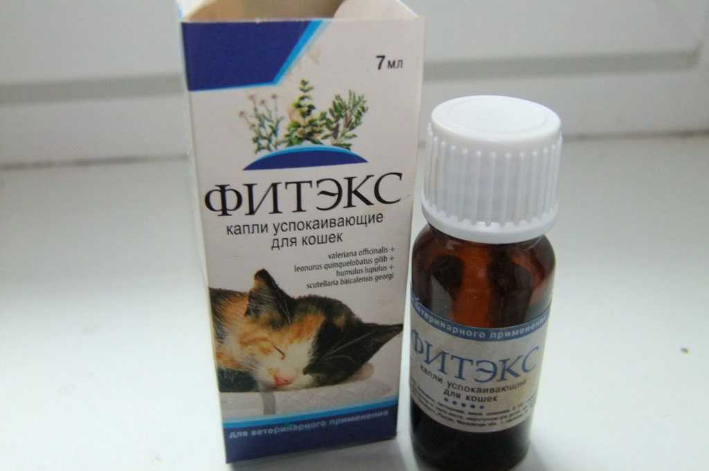 Корвалол для кошек применяется как разовое успокоительное средство при переездах посещениях выставок Средство дают и в период ожидания ветеринарной помощи когда есть подозрение на сердечный приступ
