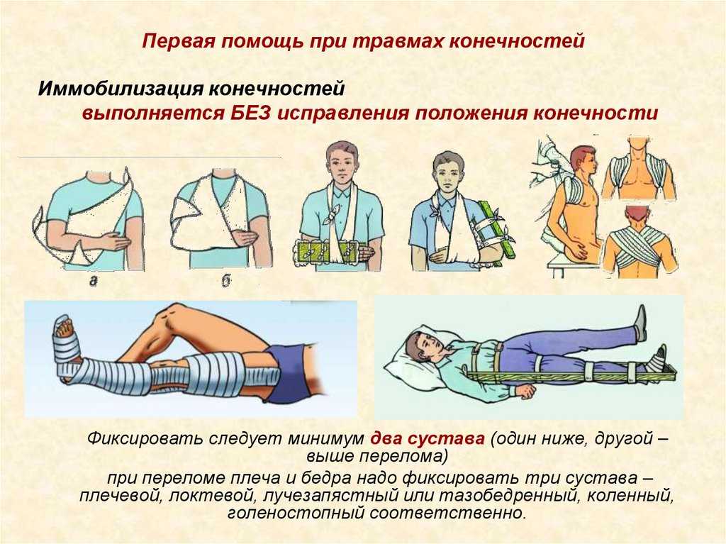 Первая доврачебная помощь домашним питомцам