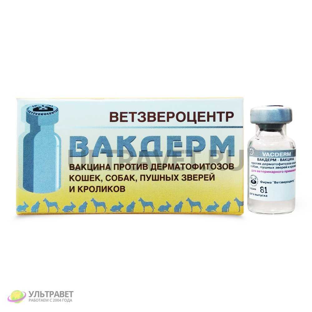 Вакдерм для кошек: инструкция по применению | звери дома