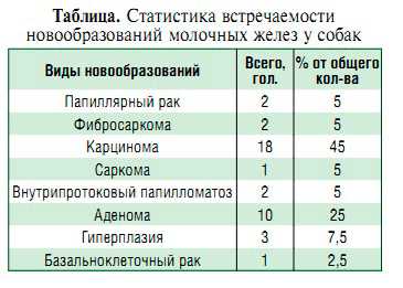 Рак молочной железы у собаки: причины, формы, симптомы, лечение | звери дома