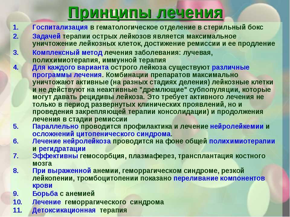 Лейкоз у собаки: причины, симптомы и методы лечения