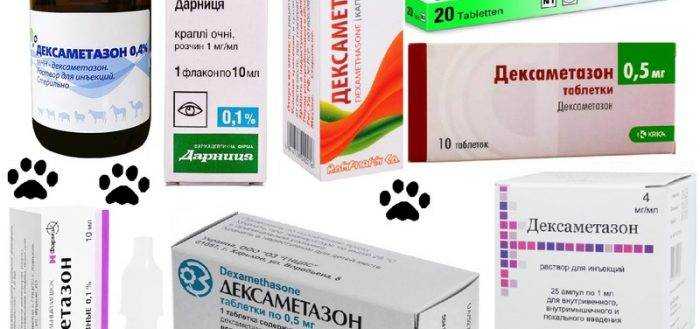 Дексаметазон котенку при отравлении дозировка