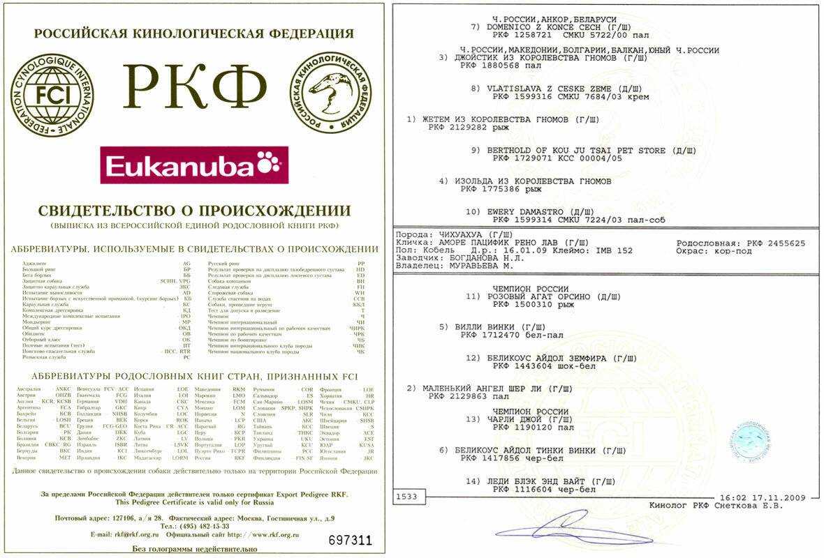 Что такое класс собаки или щенка: пет, брид, шоу-класс, методы определения, зачем нужно знать класс собаки