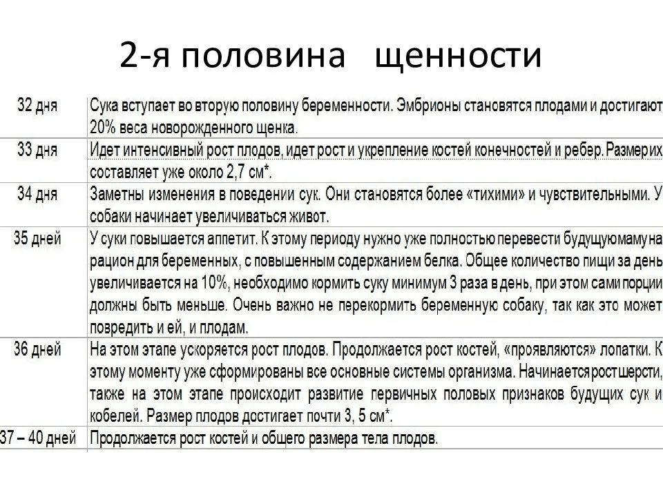 Готовимся к беременности у собаки. вязка, узи, питание, добавки, прививки, вес.