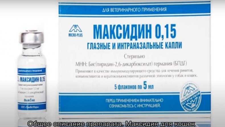 Эмицидин для кошек: инструкция по применению, показания и противопоказания, аналоги, отзывы