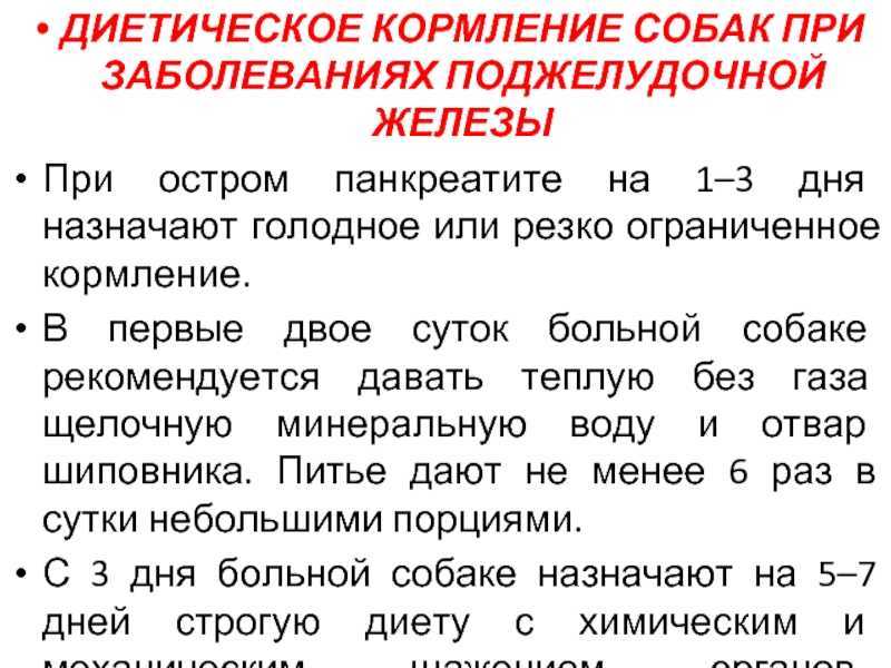 Панкреатит у собак: причины, признаки, лечение, предотвращение - kot-pes