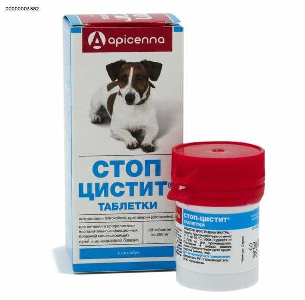 Цистон для кошек, инструкция по применению: дозировка для котят и взрослых котов, схема лечения