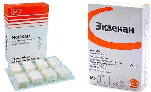 Экзекан для собак: состав, инструкция по применению, дозировка, аналоги