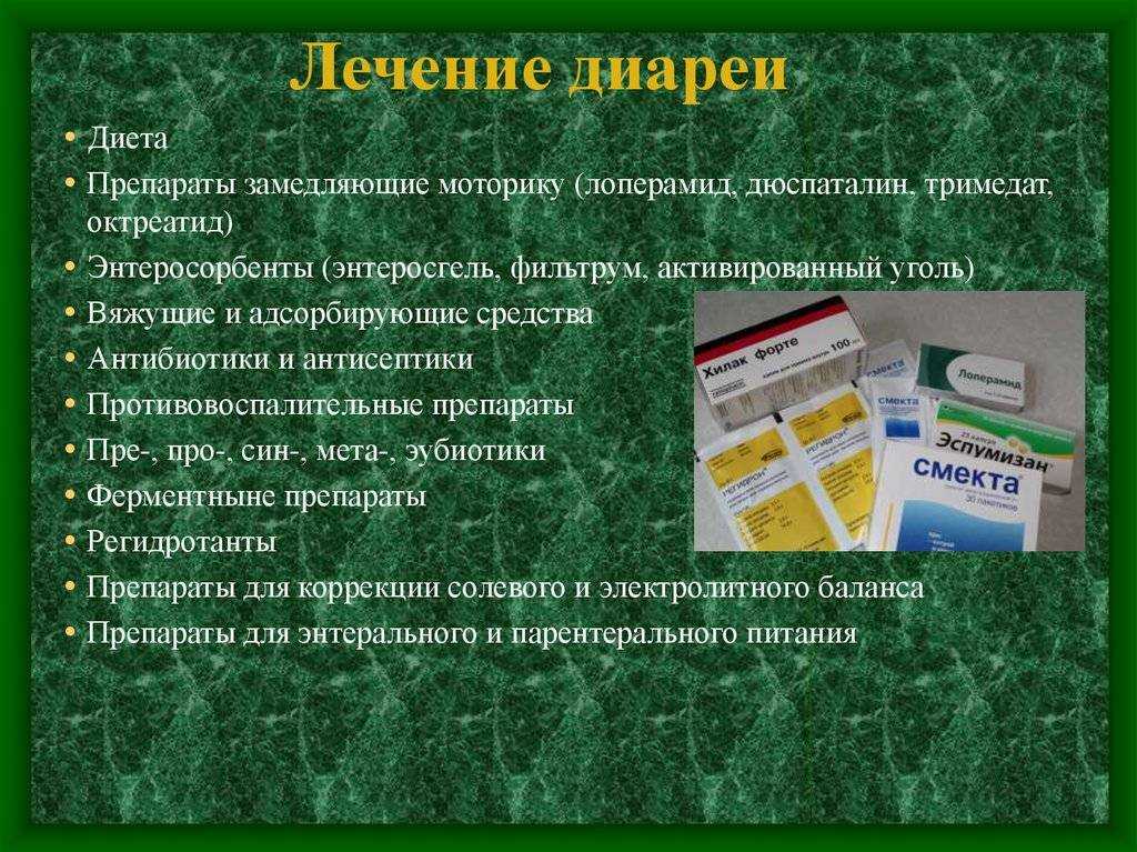 Кормление собак при поносе: натуральные продукты и сухие корма
