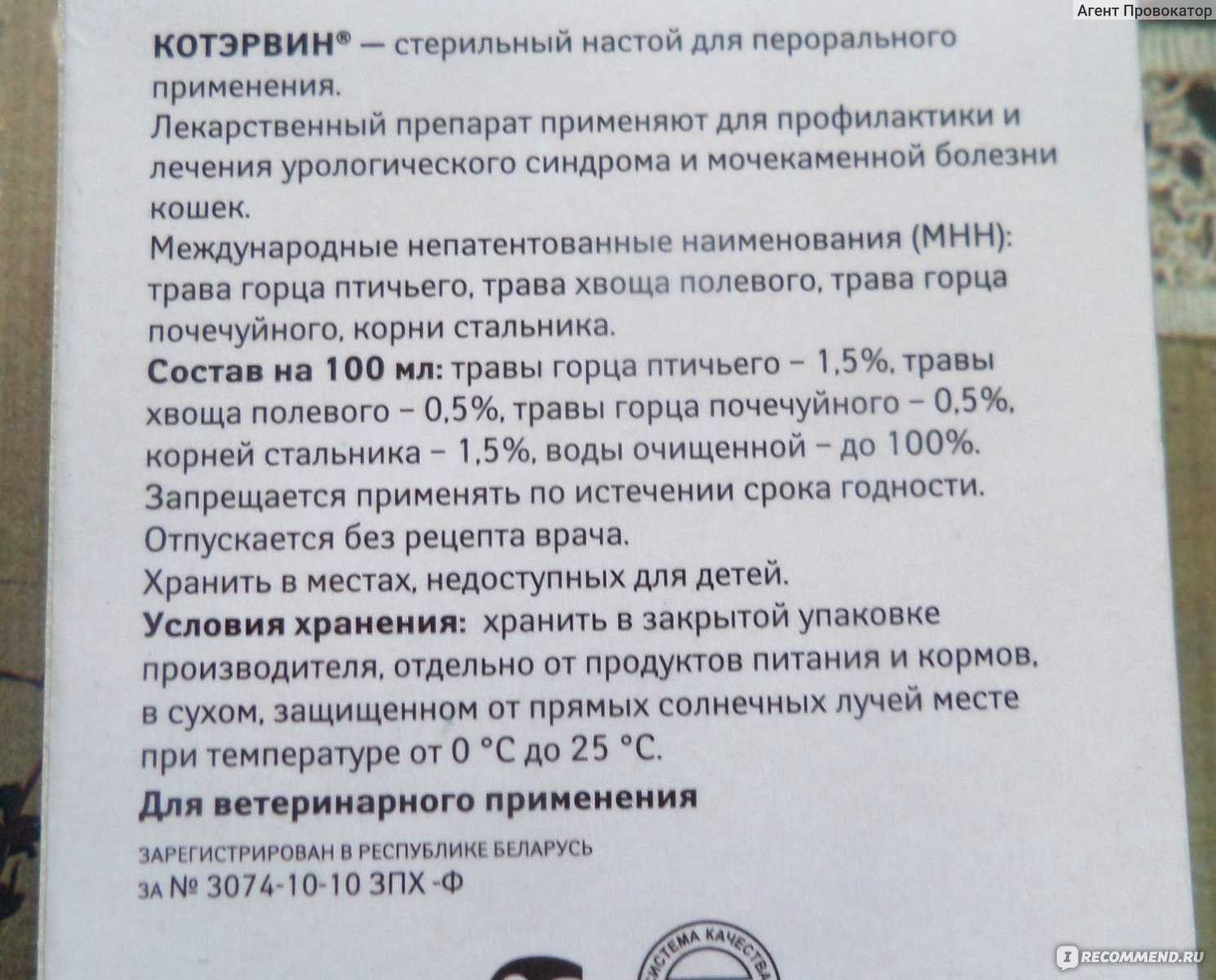 Обзор инструкции и способ применения средства байтрил для домашней кошки