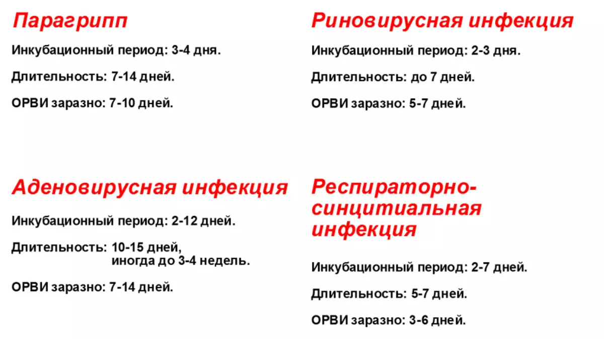 Парагрипп у собак - не смертельно, но неприятно | ваши питомцы