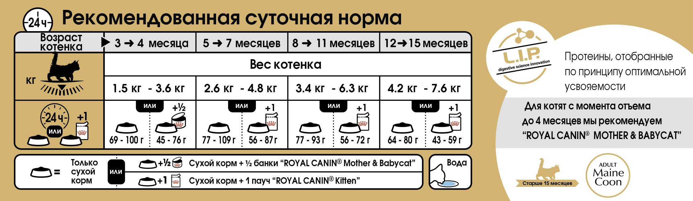 Нормы еды для кошек в сутки