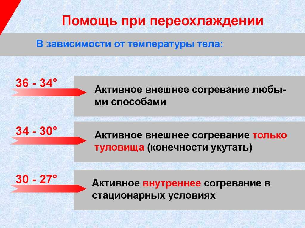 Мерзнут ли кошки зимой на улице
мерзнут ли кошки зимой на улице