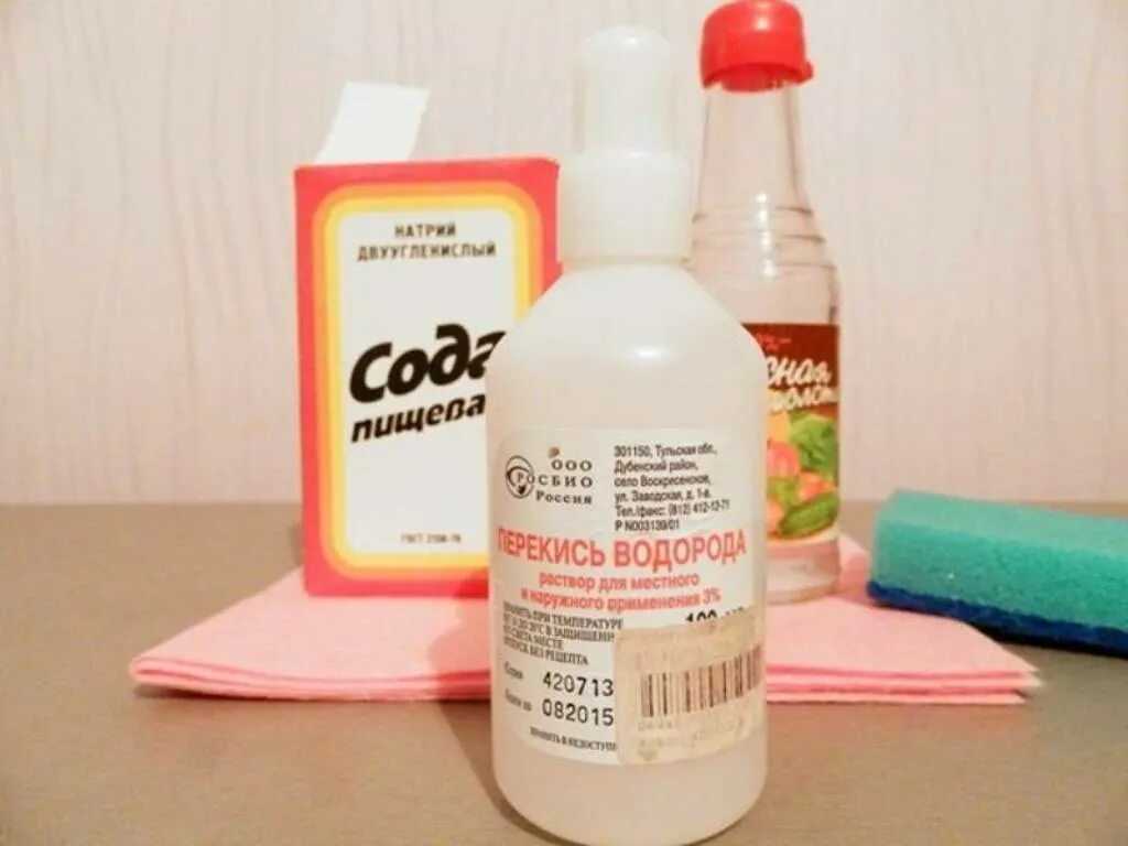 Как избавиться от запаха кошачьей мочи: народные и специальные средства
